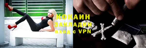 трава Верея