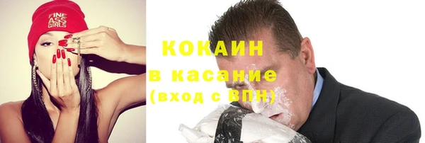 шишки Вяземский