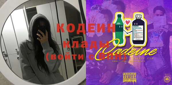 твердый Горняк