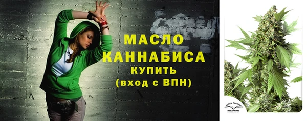 дживик Вязьма
