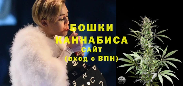 дживик Вязьма