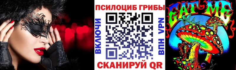 Галлюциногенные грибы Psilocybe  Гусев 